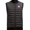 Hommes Bernache du Canada Gilets | Gilet Matelasse En Laine Merinos Hybridge