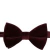 Hommes Dolce & Gabbana Noeuds Papillon | Noeud Papillon Ajustable En Velours - Homme - Soie - Taille Unique - Violet