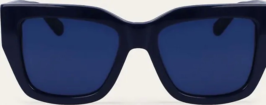 Femmes Ferragamo Des Lunettes De Soleil | Lunettes De Soleil Femme Bleu Marine