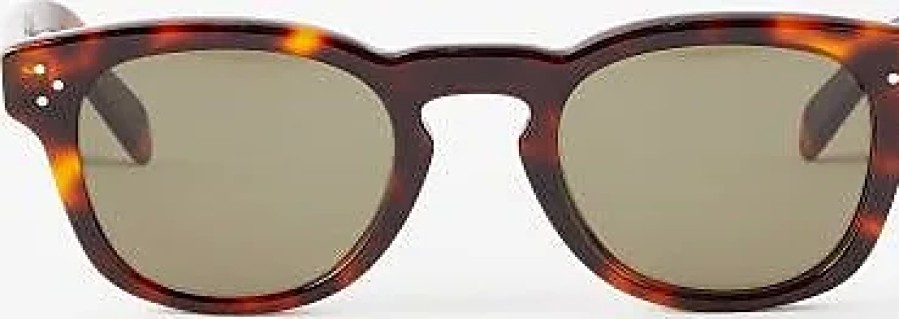 Femmes Ferragamo Des Lunettes De Soleil | Lunettes De Soleil En Acetate Ecaille De Tortue A Monture En D