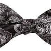 Hommes Magasin Trafalgar Noeuds Papillon | Noeud Papillon Paisley En Argent Chez Nordstrom