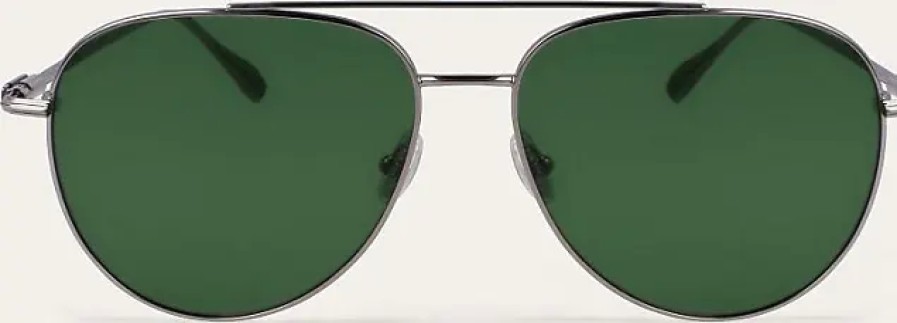 Hommes Ferragamo Des Lunettes De Soleil | Lunettes De Soleil Homme Argent/Vert